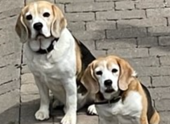 Hannaford Property Storage, Old Dovecot House, Hazeldene, Longdown, Exeter EX6 7SR storage facility in Hazeldene, Longdown, Exeter, Devon - Image 7