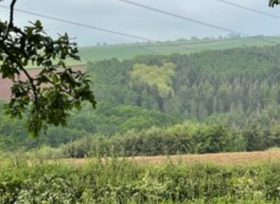 Hannaford Property Storage, Old Dovecot House, Hazeldene, Longdown, Exeter EX6 7SR storage facility in Hazeldene, Longdown, Exeter, Devon - Image 9